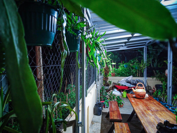 迷你花园图片下载