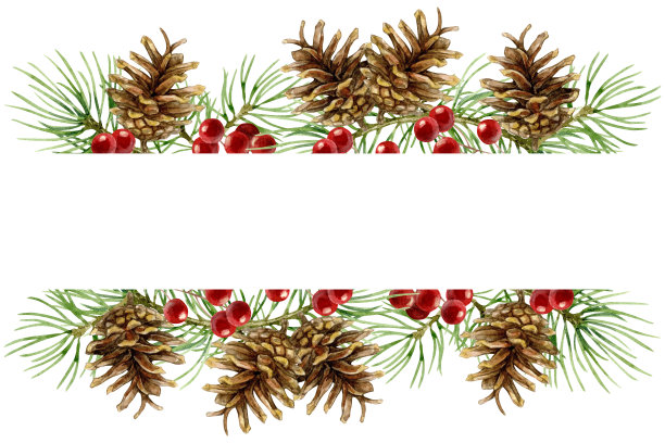 用云杉树枝和球果做成的圣诞横幅。水彩插图孤立的白色背景。图片下载