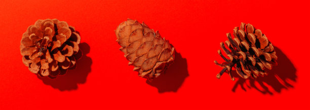 红纸背景上的圣诞树锥。寒假时间壁纸概念照片。图片下载