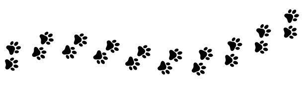 脚印脚印。狗，猫爪印。图片下载