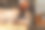 年轻的小兔子。好奇的灰巨人兔宝宝。图片下载