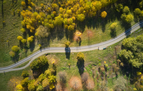 森林道路鸟瞰图。图片下载