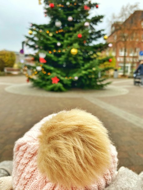 圣诞树图片下载