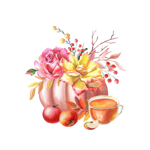 水彩画红色的南瓜，一杯茶，黄色，粉红色的玫瑰，苹果，叶子，白色背景上的红色浆果。图片下载
