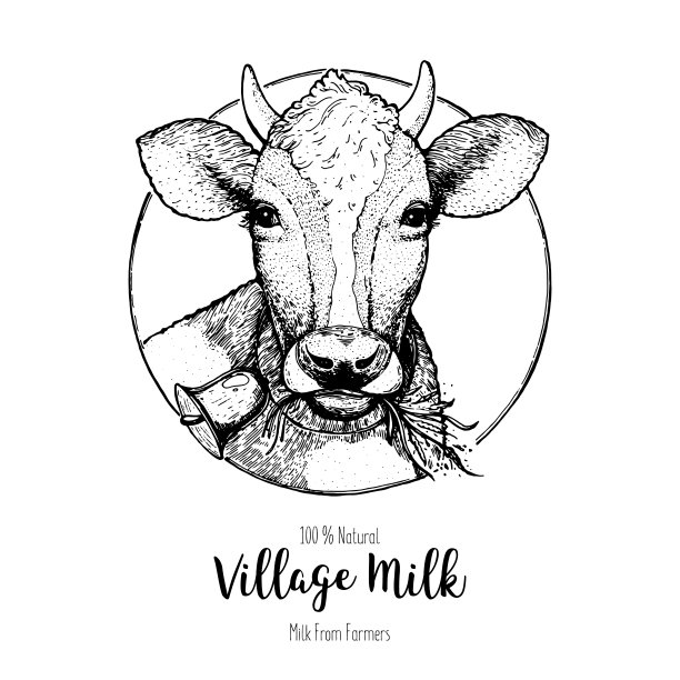 奶牛标志矢量插图。的标签。包装草图设计。图片下载