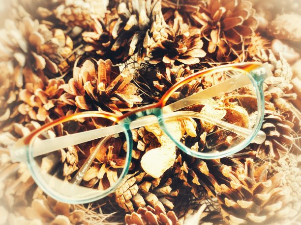 眼镜和松果图片下载