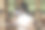 一个美丽的女孩在咖啡馆喝咖啡图片下载