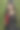 肖像非常美丽的年轻有吸引力的女人穿着红色的衣服和黑色的夹克摆时尚在一个模糊的绿色背景。生活方式和时尚。图片下载