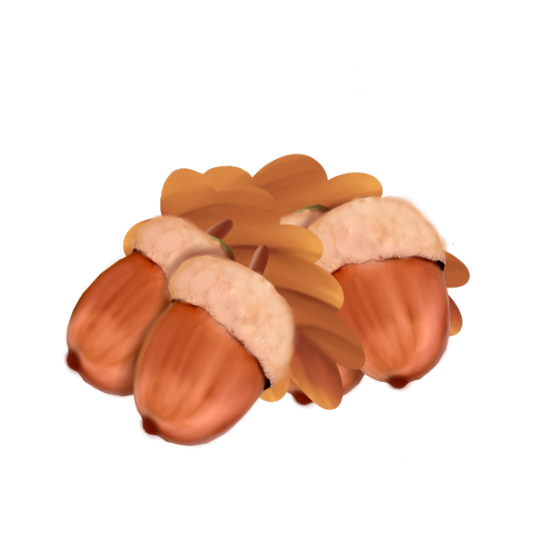 仿真橡果卡通图案手绘图片下载