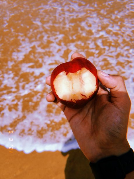 水果海滩图片下载