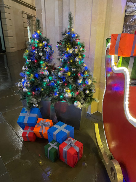 两棵装饰好的盆栽圣诞树，照片展示圣诞老人的红色雪橇和圣诞礼物图片下载