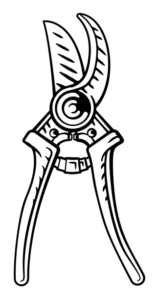 园艺工具，修剪器，剪枝，修剪剪刀图片下载