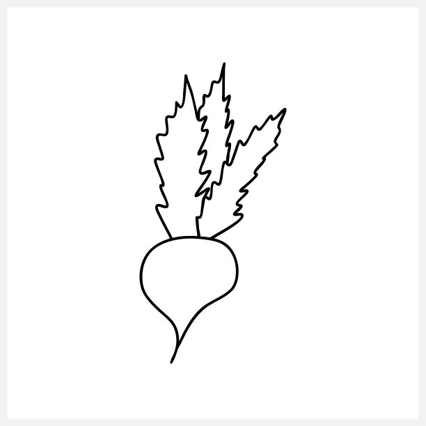 食物涂鸦甜菜图标孤立。手绘线条艺术。素描矢量股票插图。每股收益10图片下载