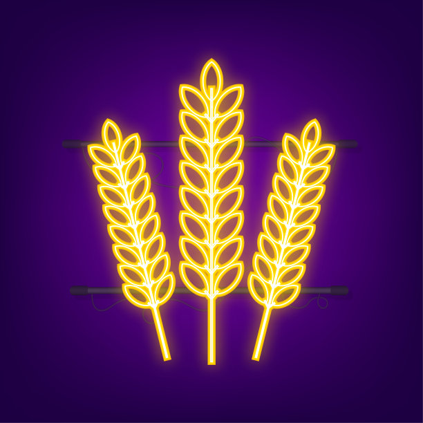 农业小麦标志模板，小麦穗。向量股票插图图片下载