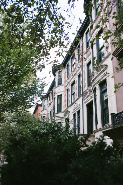 布鲁克林高地标志性社区的褐石建筑立面和排屋图片下载