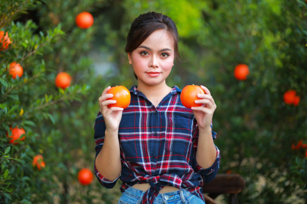 年轻的亚洲女园丁在红色格子衬衫微笑和女园丁采摘有机桔子在橘子果园，收获成熟的桔子作物。农业收获和种植概念。图片下载