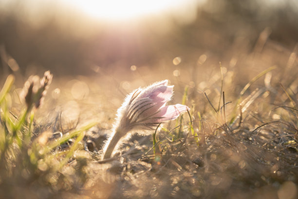 寒冬的问候图片下载