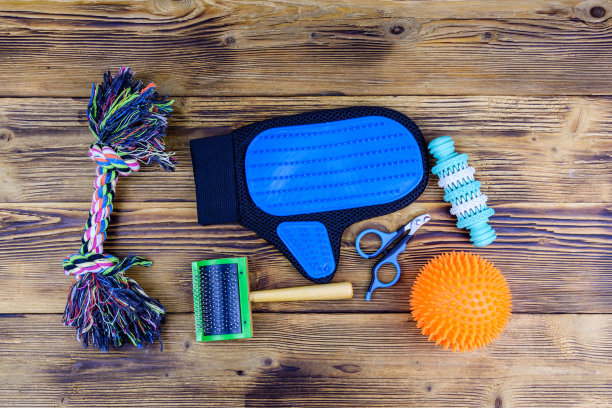 宠物滑刷，爪子剪刀和玩具在一个木制的背景。俯视图图片下载