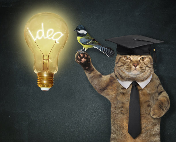 2号Cat2靠近大灯泡图片下载