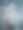 雪下的一丛红浆果图片下载
