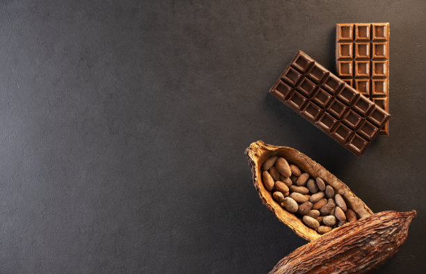 可可豆荚与豆、牛奶和苦巧克力棒在黑色背景。糖果配料。超级食物。前视图。图片下载