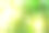 竹子的树干和阳光透过植物的墙壁照射进来。图片下载
