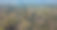 往南是比亚沃维耶扎森林的波兰部分图片下载