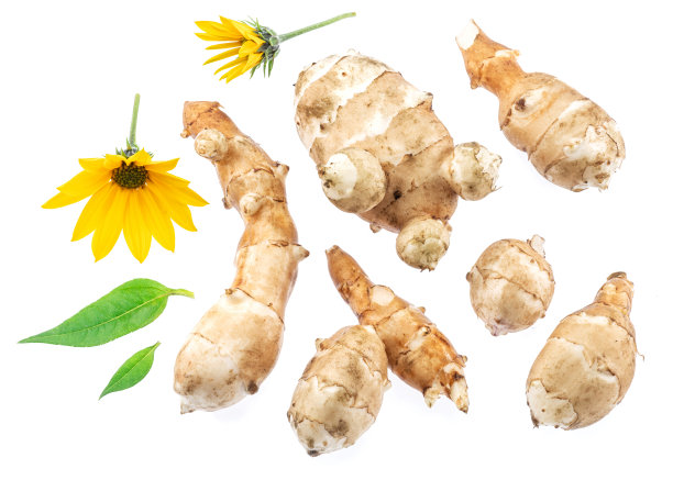 洋蓟的根与叶和花孤立在白色背景。图片下载