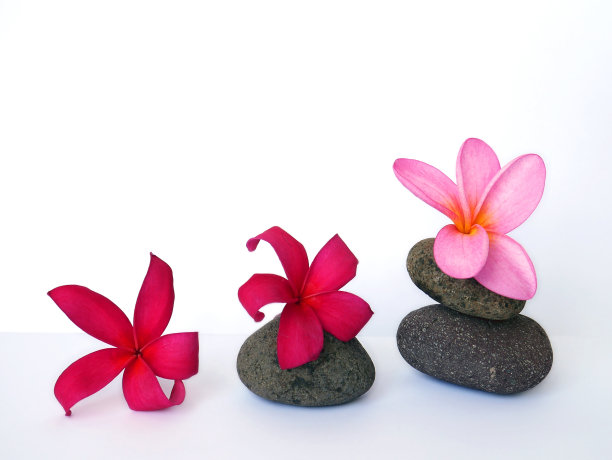 水疗放松美丽的热带花朵和禅宗鹅卵石壁纸或背景图片下载