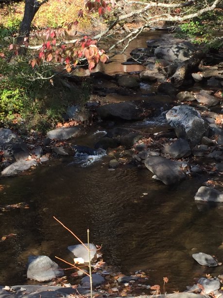高山流水图片下载