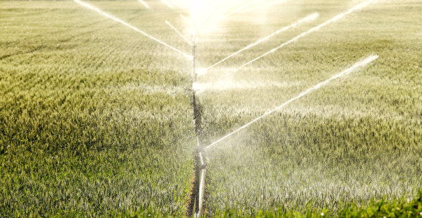 手持式农业喷洒系统。图片下载