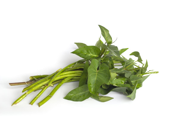 牵牛花是一种孤立在白色背景上的蔬菜。图片下载