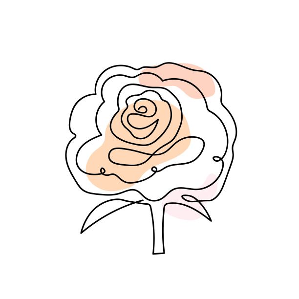 玫瑰花连续图片下载