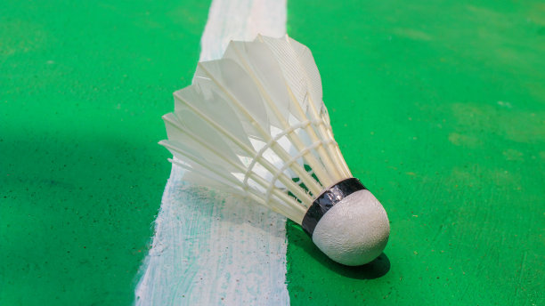 关闭羽毛球落在白色线对绿色的田野背景。图片下载