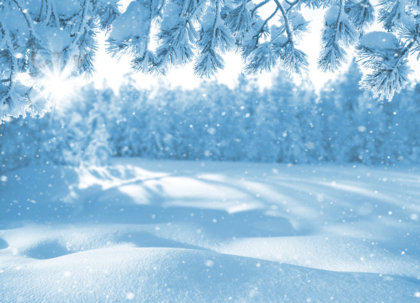 冬天明亮的背景。图片下载