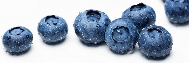 蓝莓水果宏与露珠背景。图片下载