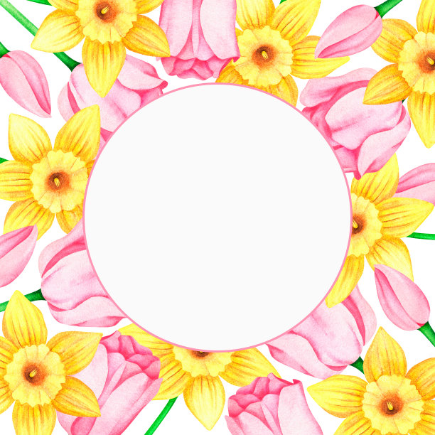 一排水仙花和郁金香。水彩的插图。被隔离在白色背景下。图片下载