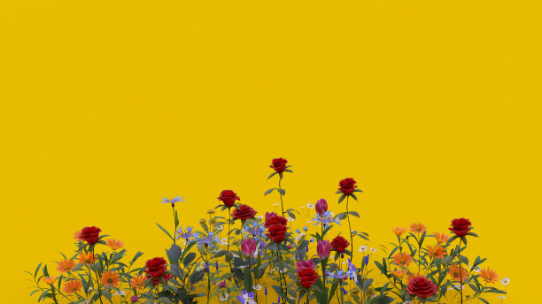 花在黄色的背景复制空间花卉艺术明亮的颜色图形风格3D插图图片下载