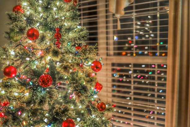 一棵圣诞树在客厅的窗户前图片下载