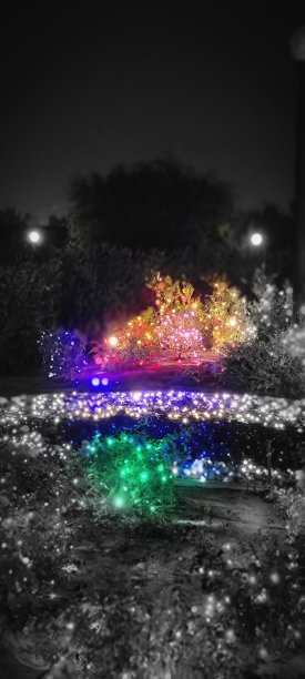 节日气氛图片下载