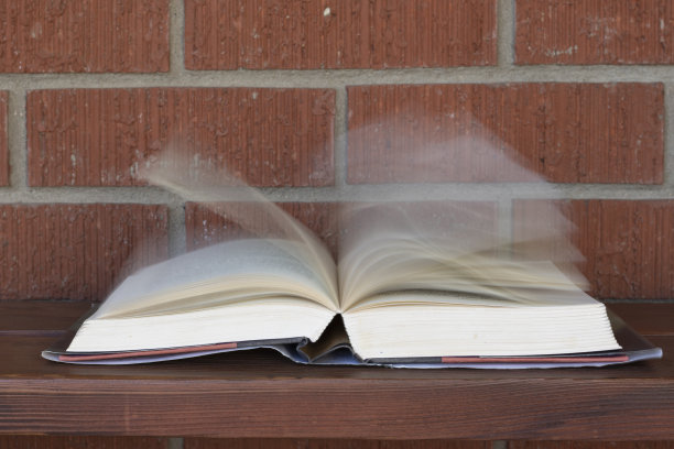 把页面图片下载