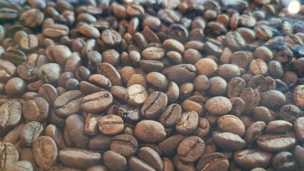 咖啡豆的种子。背景。和。纹理图片下载