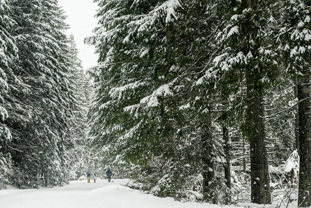 在扎科帕内，沿着冬天通往海眼的道路可以看到附近的山脉图片下载
