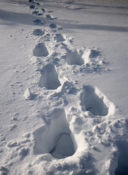 阳光灿烂的日子里，深雪上的人类脚印图片下载