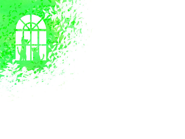 窗户和猫给新的绿色植物上色。图片下载