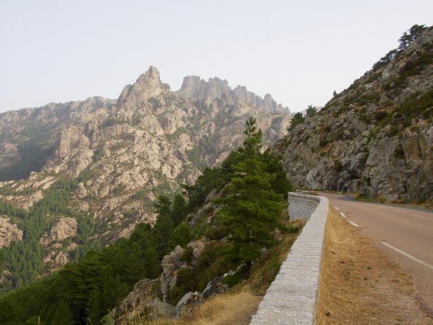 巴维拉针图片下载