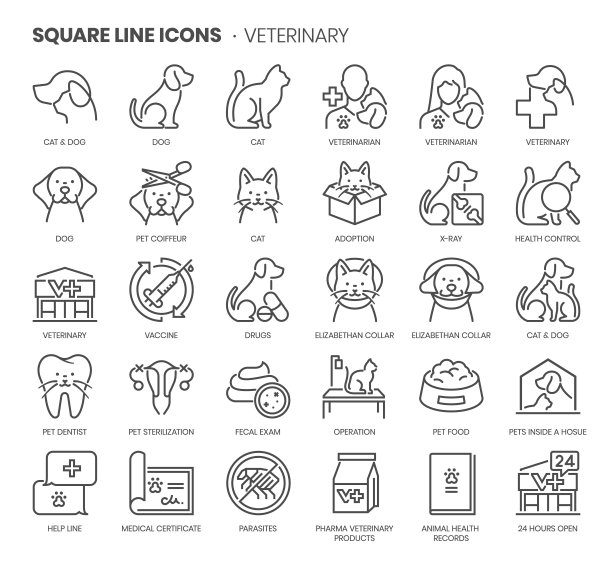 兽医相关，像素完美，可编辑的笔画，可伸缩的方形线矢量图标集。图片下载