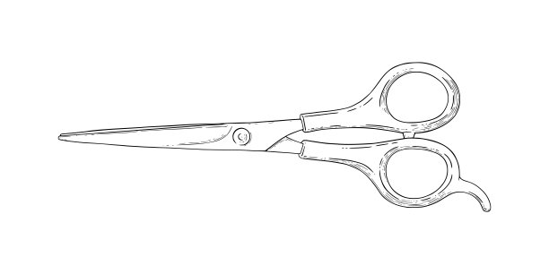 剪刀草图。理发师剪的工具。矢量图图片下载