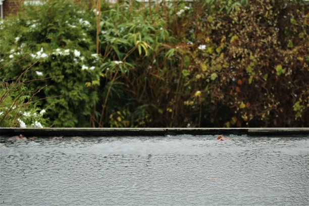 雨和雪混杂在灌木和树木的黑色平屋顶上图片下载