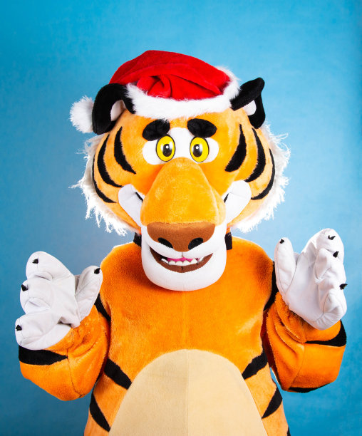 橙色柔软的老虎，戴着红色圣诞老人的帽子，背景是蓝色的。2022年生日和新年概念图片下载